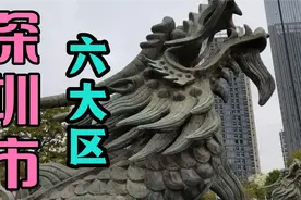 深圳六大区视频封面