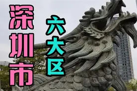 深圳六大区视频封面