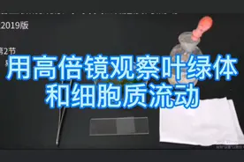 高中生物实验视频合集——用高倍镜观察叶绿体和细胞质流动视频封面