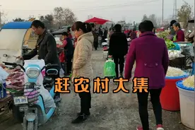 赶安徽淮南农村大集买菜，这里的蔬菜真便宜，看看都是啥价格？视频封面