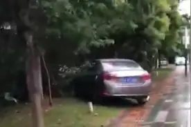 深圳一男子绿化带停车，被城管罚1500，执法局：罚款并不算高视频封面