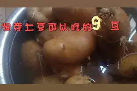 炮哥带大家看看，发了芽的土豆是可以吃的，不会中毒的，卖土豆的