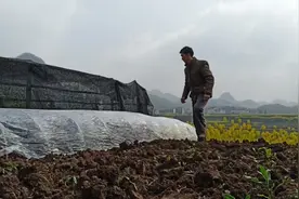 播种时节，今天教大家辣椒苗培育过程，愿广大农民朋友借鉴和参考视频封面