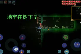 泰拉瑞亚介绍彩蛋地图地牢在树下 ，既有血腥之地又有腐化之地？视频封面