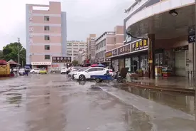 高速发展的东莞市，乡村什么样子，今天来到凤岗镇浸校塘视频封面