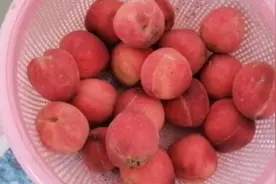 昨天在妹妹家拿来的桃，用新买来的榨汁机榨桃汁，这桃汁味道不错