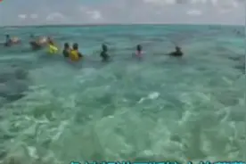 所罗门群岛土著村民古老捕鱼方法藤蔓圈鱼，抓了一整船各种海鲜。视频封面