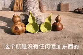 土家幺哥探秘葫芦水瓢与水壶的制作，一个能卖70块，比胶瓢还环保