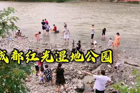 成都最大免费湿地公园，夏天洗澡钓鱼的好去处，周末人山人海视频封面