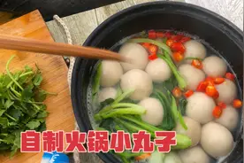 在家也能自己做火锅小丸子，简单易学，冬天来上一锅暖暖的超满足