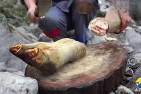 小伙250元买的8斤的骆驼腿，铁锅炖8小时，吃着那个过瘾视频封面