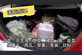每次返京都像搬家，亲公婆！京哈高速检查站必堵车，你堵哪儿了？视频封面