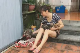 一窝的狗崽都失去妈妈，美女主人亲自喂奶，小家伙们真有福气视频封面