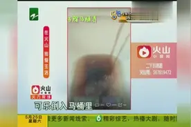 火山达人教您几个小妙招！让您生活没烦恼！