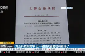 维持原判！方正科技案终审，上市公司财务造假，消费者如何维权？视频封面