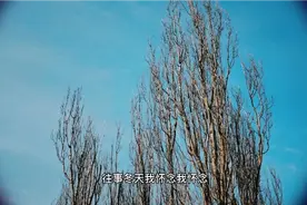 想起童年冬天走过的小河，往冰上丢块石头就滑冰，往事童年我怀念视频封面