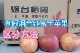 怎样区分烟台红富士苹果？记住这个方法，简单又好用视频封面