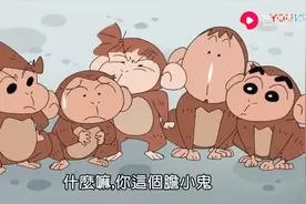 动物园游玩，竟然有和五傻长得一模一样的猴子哦