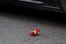 老妈会随着季节的转换来煲各种老火靓汤，广州人称之为妈子靓汤