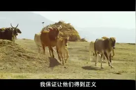 印度也有拆迁队