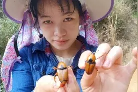 农村姑娘山上抓的虫虫，竟然烤来吃，吃着嘎嘣脆，一般人都不敢吃视频封面