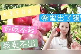 杨凌三华李贩卖难，收购价低到几毛钱，果子价还不够肥料钱，心酸视频封面