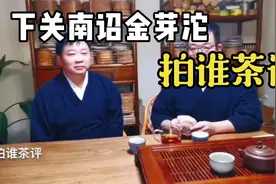 拍谁茶评～下关2009南诏金芽沱视频封面