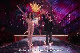 The weeknd【盆栽哥】-2015维多利亚的秘密视频封面