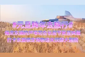 #元旦跨年去旅行#打卡东湖保定博物馆关汉卿大剧院，感受芦苇荡。视频封面