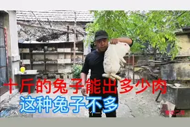 10斤的活兔不多，今天给朋友杀1只，看看能出多少肉
