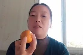 纯天然柿子干的手工做法，没有添加任何东西，老人小孩都可以吃