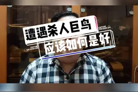遭遇杀人巨鸟，我们应该怎么做？#一本正经的搞笑 #动物 #脱口秀 视频封面