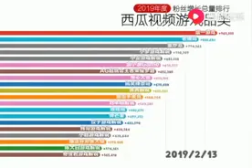 2019年度粉丝增长总量排名视频封面