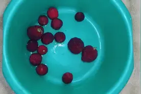 钓鱼技巧，特效杨梅果酸的开制方法！视频封面