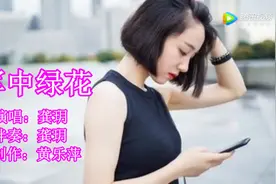 龚玥演唱《军中绿花》非常好听，唱出军人的心声视频封面