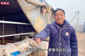 羊出现感冒流鼻涕怎么办？不用担心一块钱解决问题！轻松搞定！视频封面