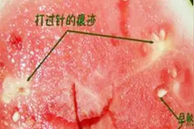 黄瓤瓜、无籽西瓜是转基因的吗？这几个真相，该知道了视频封面