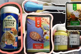 纯开箱视频︱高够力玉善菌︱育归龟粮︱龟友商城龟药