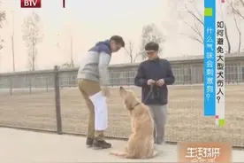 气味真的会刺激到狗狗，它会对人发起攻击吗？三种气味来实验