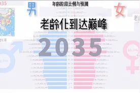 数据可视化之 中国人口年龄阶段比例 探究人口老龄化的秘密视频封面