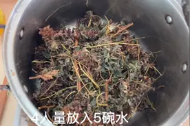 有见煲凉茶放肉？（鸡骨草茵陈夏枯草猪横利清热降火去湿汤）