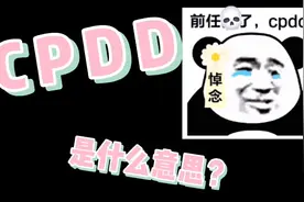 cpdd是什么意思？背后隐藏着怎样的神奇故事？视频封面