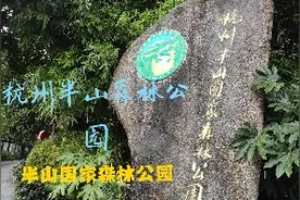 杭州，半山国家森林公园，下雨天，坐公交车去，公园好大呀！视频封面