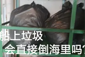 船上的垃圾如何处理？真的会直接倒海里吗？视频封面