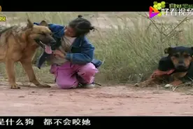 人犬奇缘：失语女孩和狗天生带缘，村民称最凶猛的狗都听她指挥！视频封面
