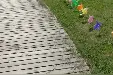 三岔河露营视频封面