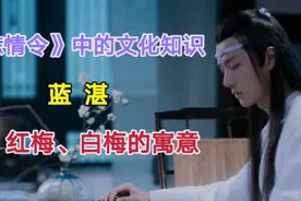 《陈情令》中的文化知识：红梅、白梅的寓意视频封面