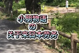 来日本劳务必须要经过哪些流程呢？能赚多少钱？值不值得来？视频封面