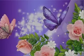 好听醉人的探戈交谊舞曲精选集