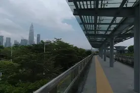 深圳湾口岸天桥走累了，欣赏下春笋的景色，数一数过港的车辆视频封面